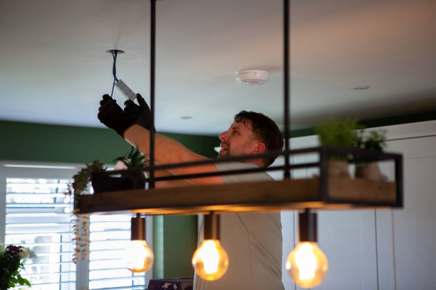 Best Electrical System Inspection  in Hamlet, IN